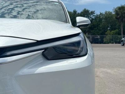 2026 Lexus TX — photo 9 view