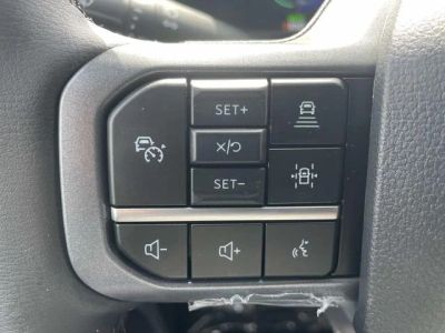 2025 Ford F-150 Lightning - Photo 18