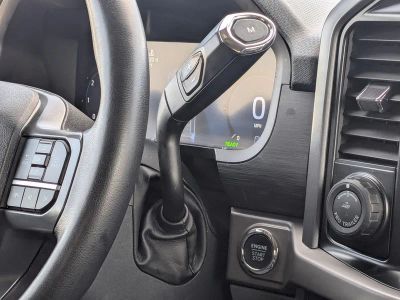 2024 Ford F-150 — photo 19 view