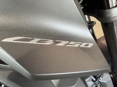 2025 Honda CB750 Hornet - Photo 10