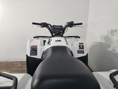 2025 Kawasaki Brute Force 450 4x4 - Photo 17