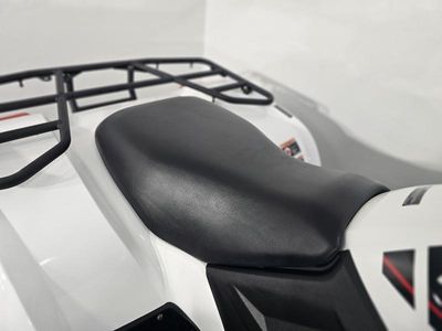 2025 Kawasaki Brute Force 450 4x4 - Photo 16
