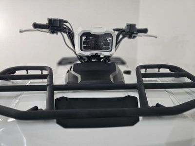2025 Kawasaki Brute Force 450 4x4 - Photo 8