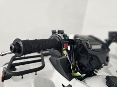 2025 Kawasaki Brute Force 450 4x4 - Photo 19