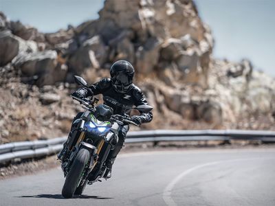 2025 Kawasaki Z900 SE ABS - Photo 28