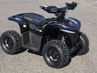 2026 Denago Powersports E-Hawk 6 - Photo 4