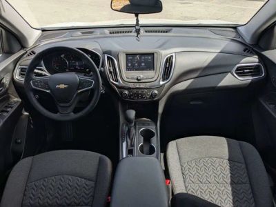 2024 Chevrolet Equinox — photo 11 view