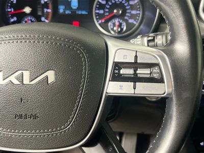 2022 Kia Telluride — photo 17 view