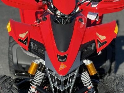 2025 Denago Powersports Daytona 250 FI - Photo 10