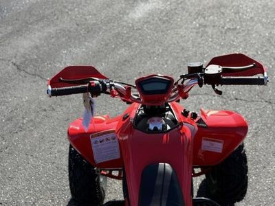 2025 Denago Powersports Daytona 250 FI - Photo 9