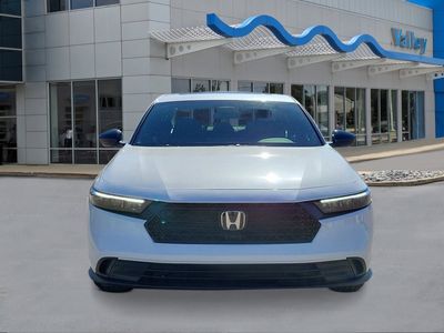 2026 Honda Accord Hybrid — photo 8 view