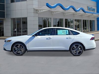 2026 Honda Accord Hybrid — side profile view