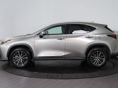 2024 Lexus NX - Photo 2