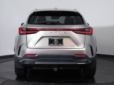2024 Lexus NX - Photo 4