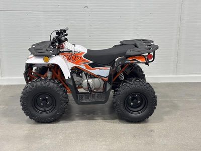 2025 Kayo Bull 125 EFI - Photo 11