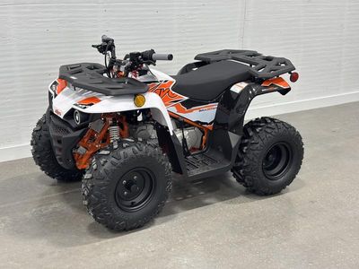 2025 Kayo Bull 125 EFI - Photo 2