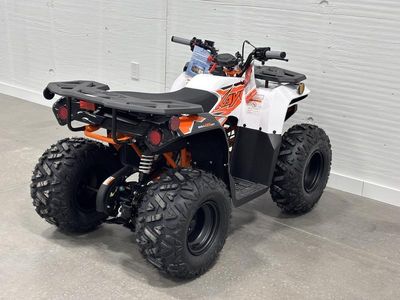 2025 Kayo Bull 125 EFI - Photo 8