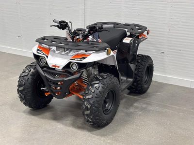 2025 Kayo Bull 125 EFI - Photo 4