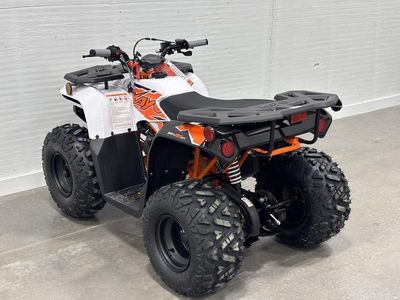 2025 Kayo Bull 125 EFI - Photo 7