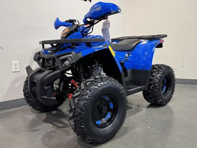 2026 Denago Powersports Mudhawk 10 FI - Photo 4