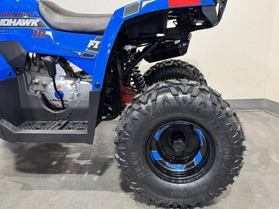 2026 Denago Powersports Mudhawk 10 FI - Photo 18
