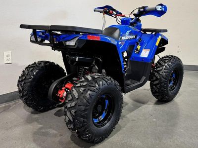 2026 Denago Powersports Mudhawk 10 FI - Photo 9