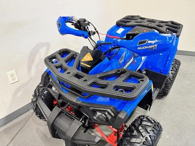 2026 Denago Powersports Mudhawk 10 FI - Photo 11