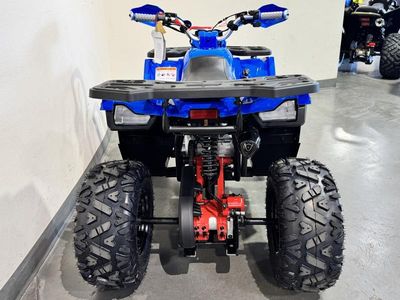 2026 Denago Powersports Mudhawk 10 FI - Photo 7