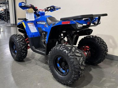 2026 Denago Powersports Mudhawk 10 FI - Photo 6