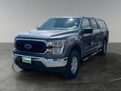 2021 Ford F-150 — rear three-quarter view