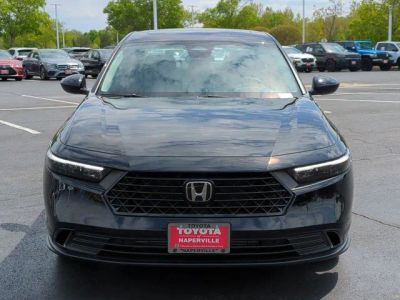 2025 Honda Accord — interior view