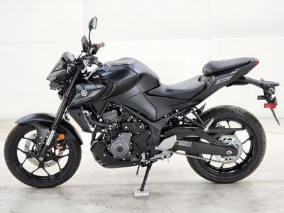 2025 Yamaha MT-03 - Photo 7