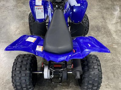 2026 Yamaha Raptor 110 - Photo 3