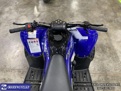 2026 Yamaha Raptor 110 - Photo 8