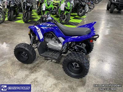 2026 Yamaha Raptor 110 - Photo 4