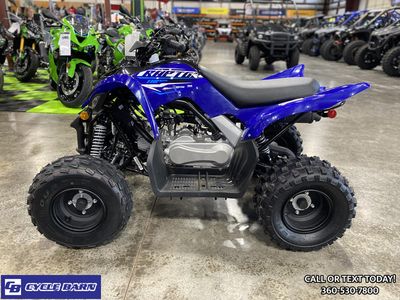 2026 Yamaha Raptor 110 - Photo 5