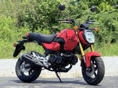 2026 Honda® Grom — front three-quarter view