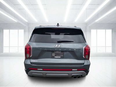 2023 Hyundai Palisade — detail view