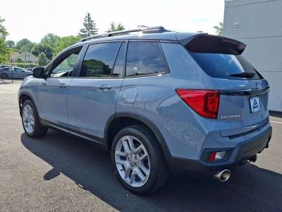2024 Honda Passport — interior view