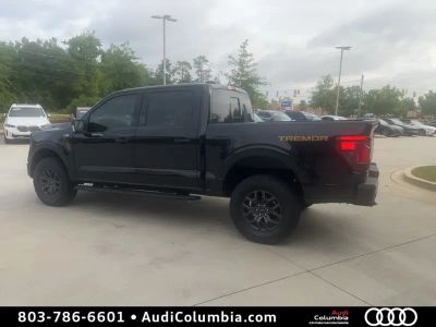 2025 Ford F-150 - Photo 3