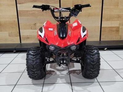 2025 Kayo Fox / Storm 70 - Photo 3