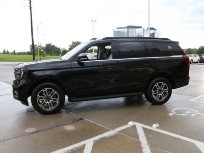 2025 Ford Expedition — rear three-quarter view
