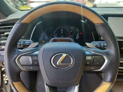 2024 Lexus RX — photo 23 view