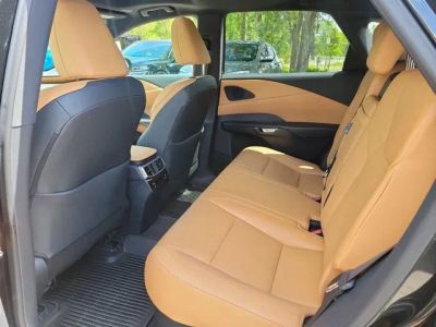 2024 Lexus RX — photo 11 view