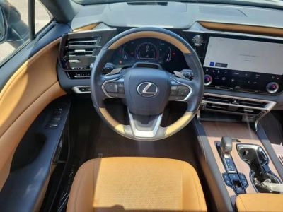 2024 Lexus RX — photo 16 view