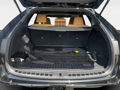 2024 Lexus RX — photo 9 view