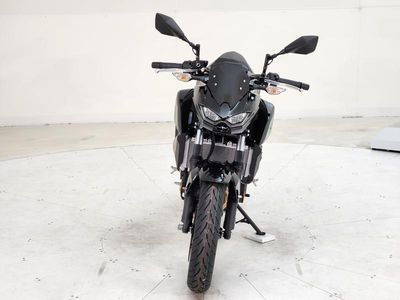2025 Kawasaki Z500 ABS - Photo 3