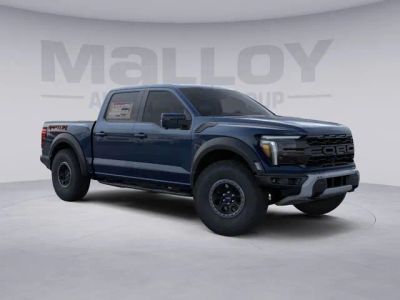 2025 Ford F-150 - Photo 19