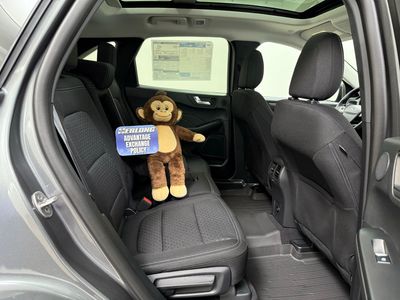 2026 Ford Escape Active SUV EcoBoost - Photo 23
