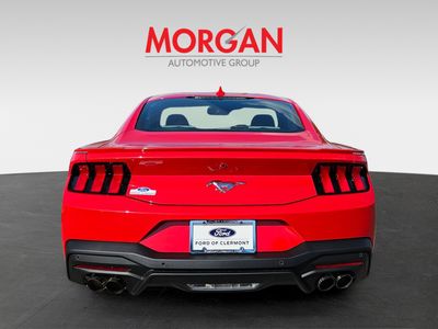 2026 Ford Mustang - Photo 7